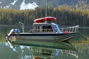 Koffler's Offshore Bay-Bee Crusader 