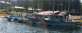 Koffler Offshore Fishing Boats