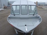 Windshield Bay Bee